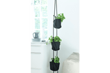 Vertikal hängende Blumentopfe für Wand und Decke